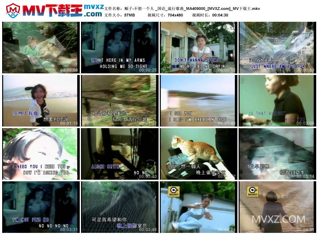 顺子-不想一个人 _国语_流行歌曲_MA409000